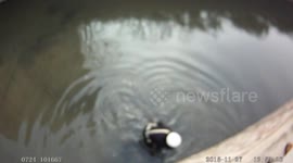 Policeman jumps in freezing water and holds elderly lady for 20 minutes until help arrives