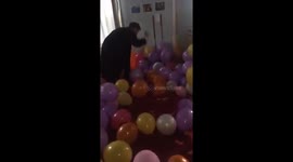 Man goes on balloon-popping frenzy while clearing out theatre exhibit