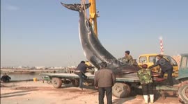 Massive dead whale reeled in by fisherman