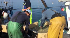 This is what climate change can do to fishing industries