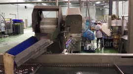 Portuguese sardines in massive decline due to climate - scientists