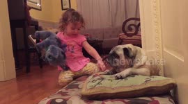 Little girl spontaneously kissing dog goodnight