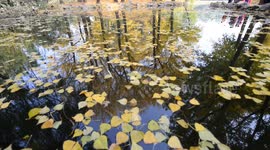 Tourists Play At The Old Summer Palace Ruins Park in Beijing, China
