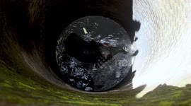 Elephant rescued in Sri Lanka after falling into well