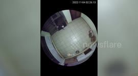 Leopard enters house, attacks dog and brings it away