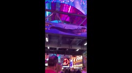 Ci and Kate, travel on a budget - Letting Loose in Las Vegas Nevada!