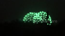 Beautiful green Bonfire Night fireworks seen in Londons Kensington