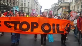 Just Stop Oil climate activists are arrested after road blocking in Trafalgar Square