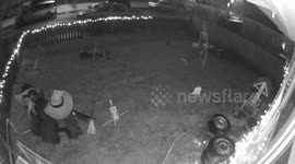 CCTV shows yobs tipping a woman's three-wheeled Robin Reliant on its side