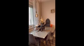 French Bulldog transforming from Halloween to Christmas time!