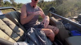A cheeky elephant sprayed a group of tourists with mud as they watched them at a watering hole