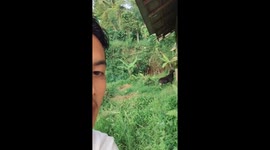 The goat suddenly started chasing the guy!