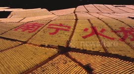 Drone Footage Of Light Show At A Pitaya Base in Nanning, China