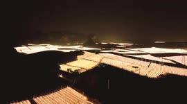 Drone Footage Of  A Pitaya Base in Nanning, China