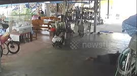 Hero pet dogs bark to call for help to save worker having seizure