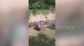 Park ranger rescues injured deer stuck in forest in Thailand