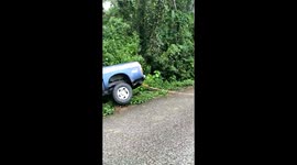 police car falls in the jungle