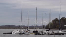 It Feels Like Spring In Western Kentucky...In November Which Is Not Normal Here