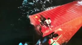 Eleven seamen rescued after cargo ship sinks off Thai coast