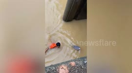 Oarsman drowns in river after crashing into concrete during boat race in Thailand