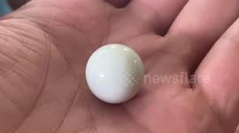 Broke builder finds rare Tridacna pearl worth while walking on Thai beach