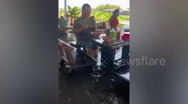 Dozens of fish swim around flooded restaurant as customers slurp hot noodles