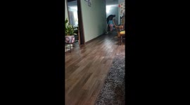 Excited dog BREAKS the cuteness scale by running in her funny 'Chucky' costume