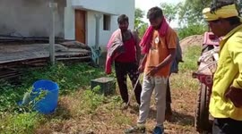 Bizarre! Two-faced snake rescued from household in central India