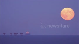 Spectacular Beaver Moon seen rising over Thames Estuary in Kent, UK