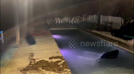 Coastal flooding hits Florida as Hurricane Nicole looms