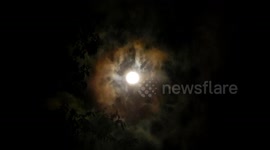 South Carolina resident films 2022's final lunar eclipse