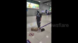 Airport sniffer dogs find BAT MEAT in luggage from China (file video, with pictures)