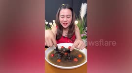 Thai food vlogger arrested and apologises for eating bat soup