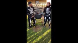 Pregnant couple wins Halloween with their beWITCHing gender reveal idea