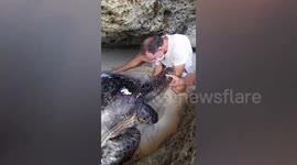 Heartwarming moment tourists save sea turtle trapped in rope at beach in Bali