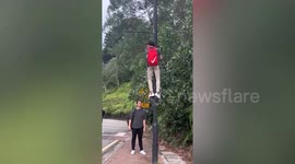 Terrified teenager with fear of dogs climbs lamppost to escape stray mutts