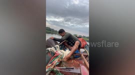 Fisherman catches 150kg giant catfish from river in Thailand
