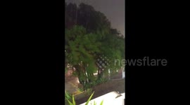 Frightful wind as Hurricane Nicole makes landfall in Florida