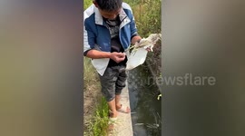 Kind-hearted man frees bird that got its claws caught by clam