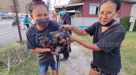 Hero rescuers climb into storm drain to save trapped pet cat