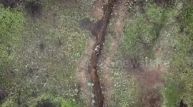 A Russian soldier throws away incoming grenades from a Ukrainian drone