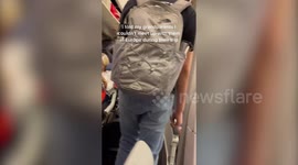 Woman surprises grandparents on flight after saying she couldn't attend Europe trip