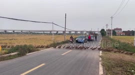Motorists wait patiently as hundreds of ducks waddle across road in China