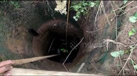 Goat rescued after falling down 30-feet-deep abandoned well in India