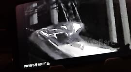 This is a video that came from my security camera .it is a table I have on the front porch and my camera is motion detected and when there is motion it sends a picture or video of that motion to my phone .this looks to me like a body of a skeleton soul tr