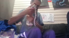 I hold a Royal Python Snake and get some experience on holding snakes