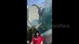 Ecomuseum Zoo with my friend Meghan Marie enjoying the underwater viewing otter tunnel