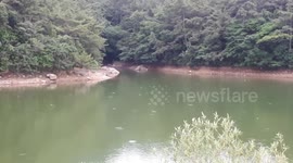 I see beautiful Lake with Fishes Dance!