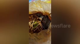 Chinese man finds dead mouse in his takeaway