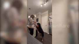 Meet the service dog that is trained to know when its owner is about to faint